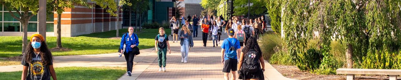 students walking on brick walkway